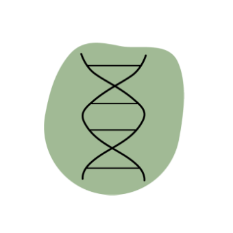 Illustration 3